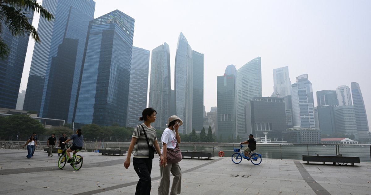 Palm oil stocks tumble after NEA haze violation notices