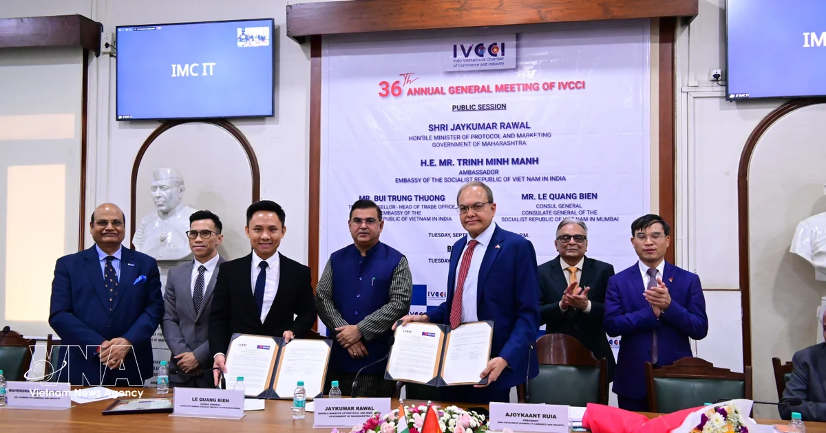 Vietnam, India chart ambitious growth with $25bn trade target