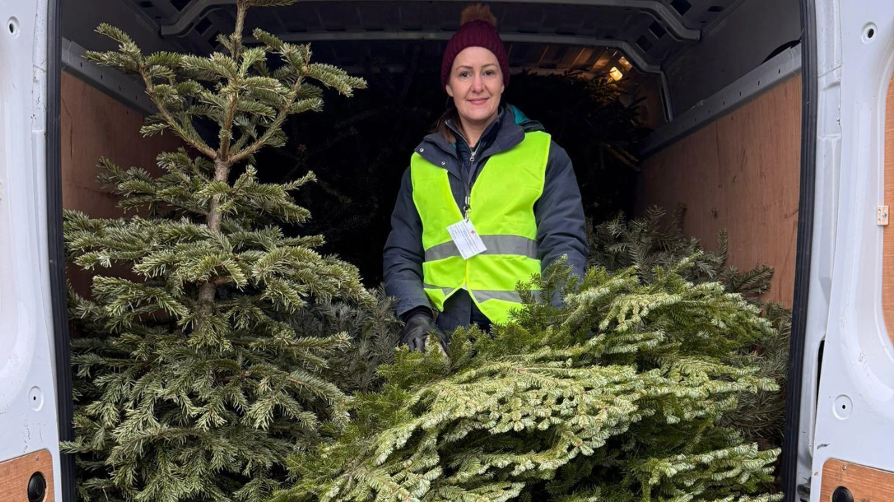 UK charity sets record recycling nearly 90,000 Christmas trees for charity