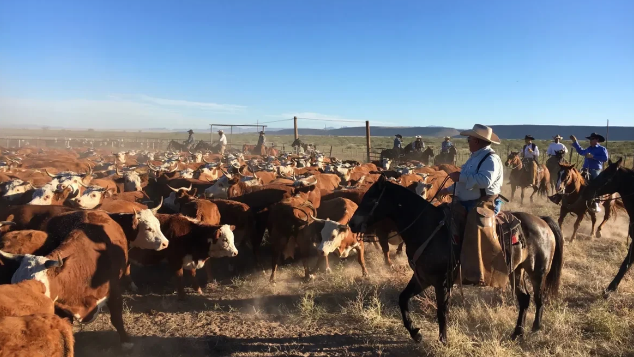 Historic Ranch Heirs End Bitter Dispute With Settlement Agreement