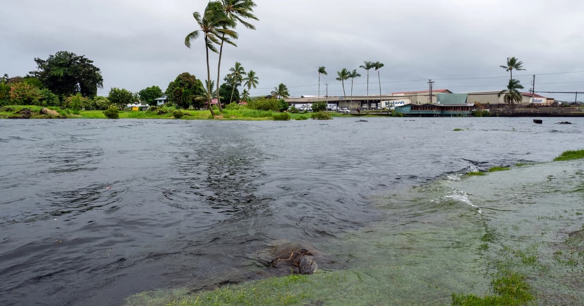 Hurricane Nolo bears down on Hawaii with severe flood warnings