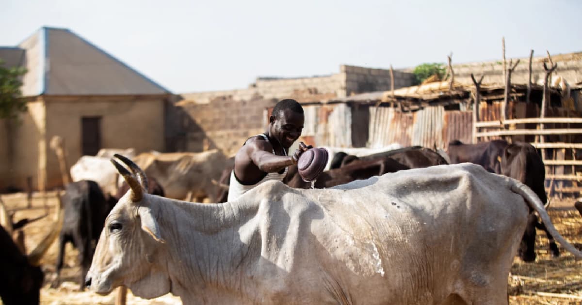 Armed gunmen kill 24 in central Nigeria amid resource tensions