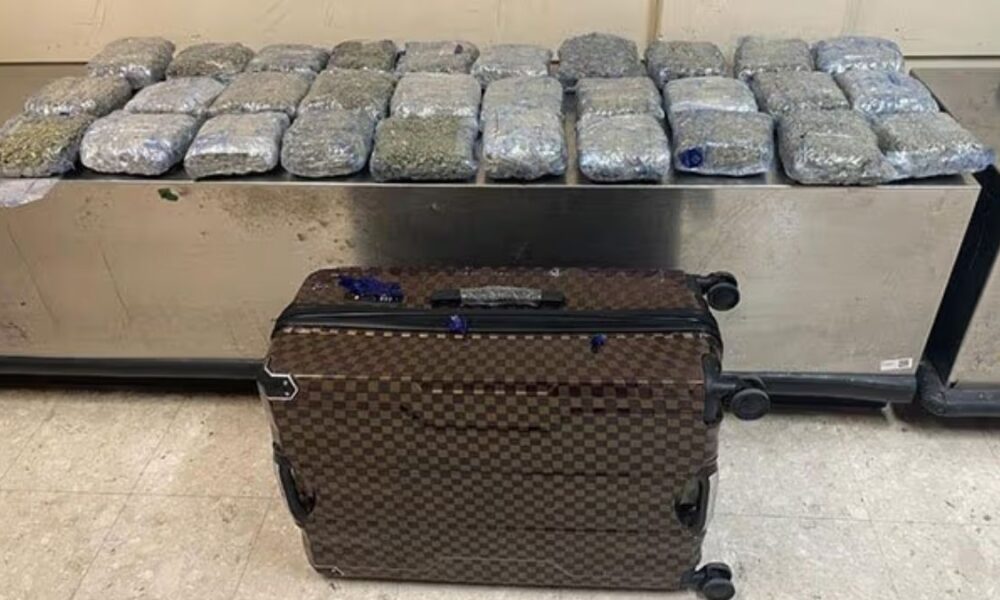 Major cannabis haul seized at Colombo's main international airport