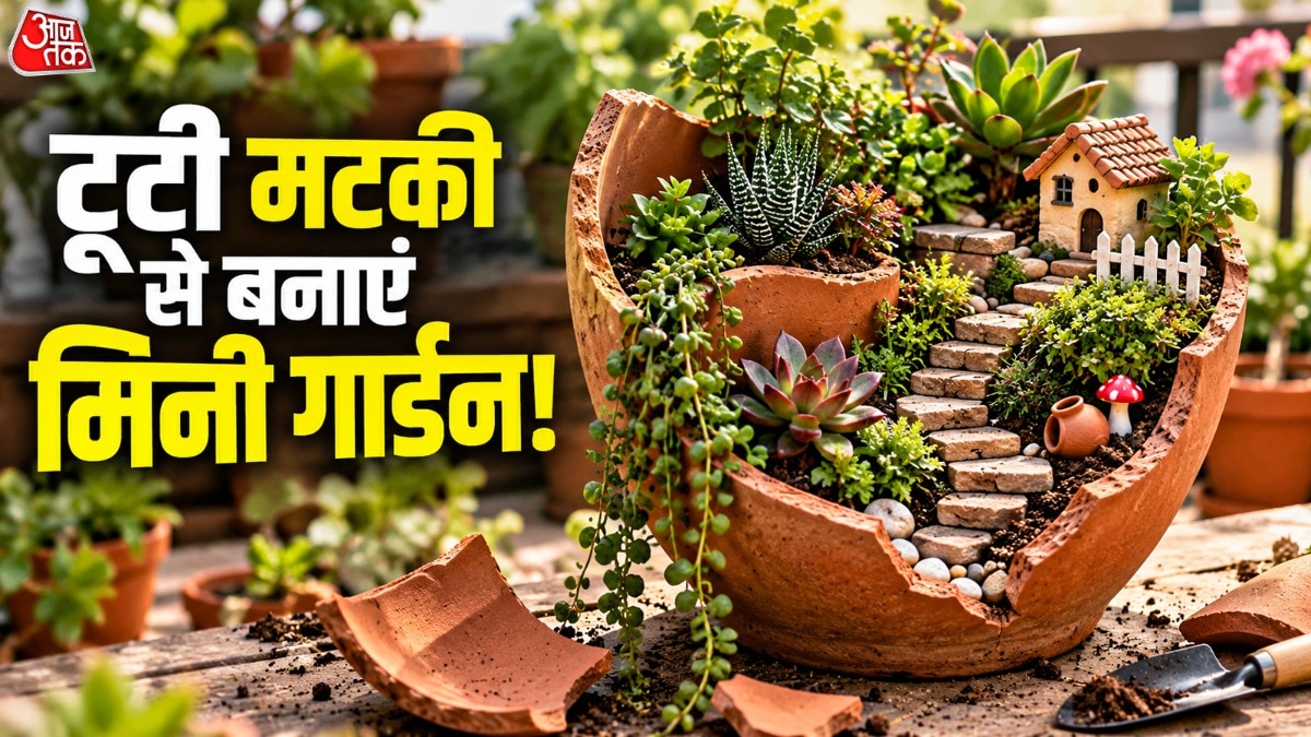 Transform Broken Earthen Pots Into Miniature Gardens at Home