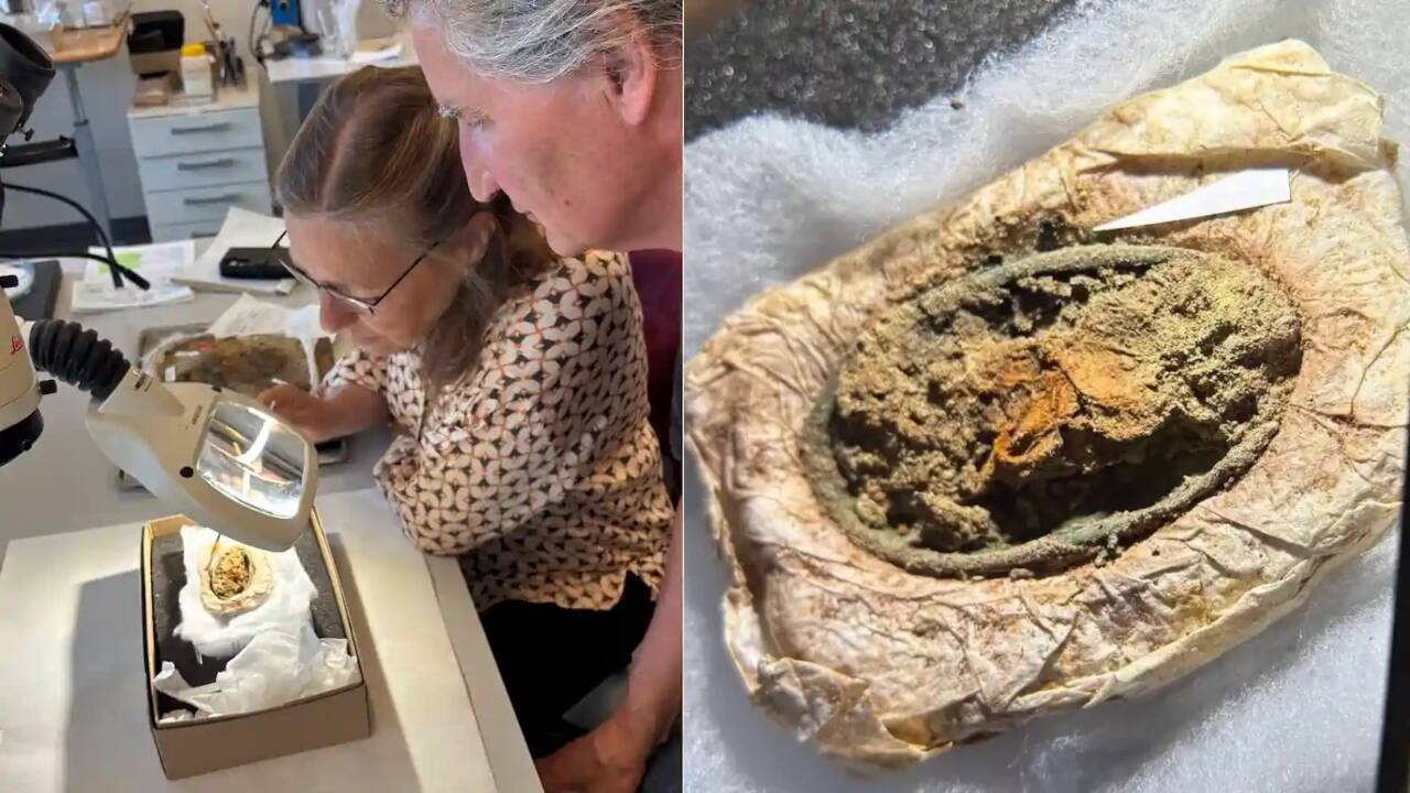 Ancient Viking woman's clothing preserved by jewellery corrosion for 1,300 years