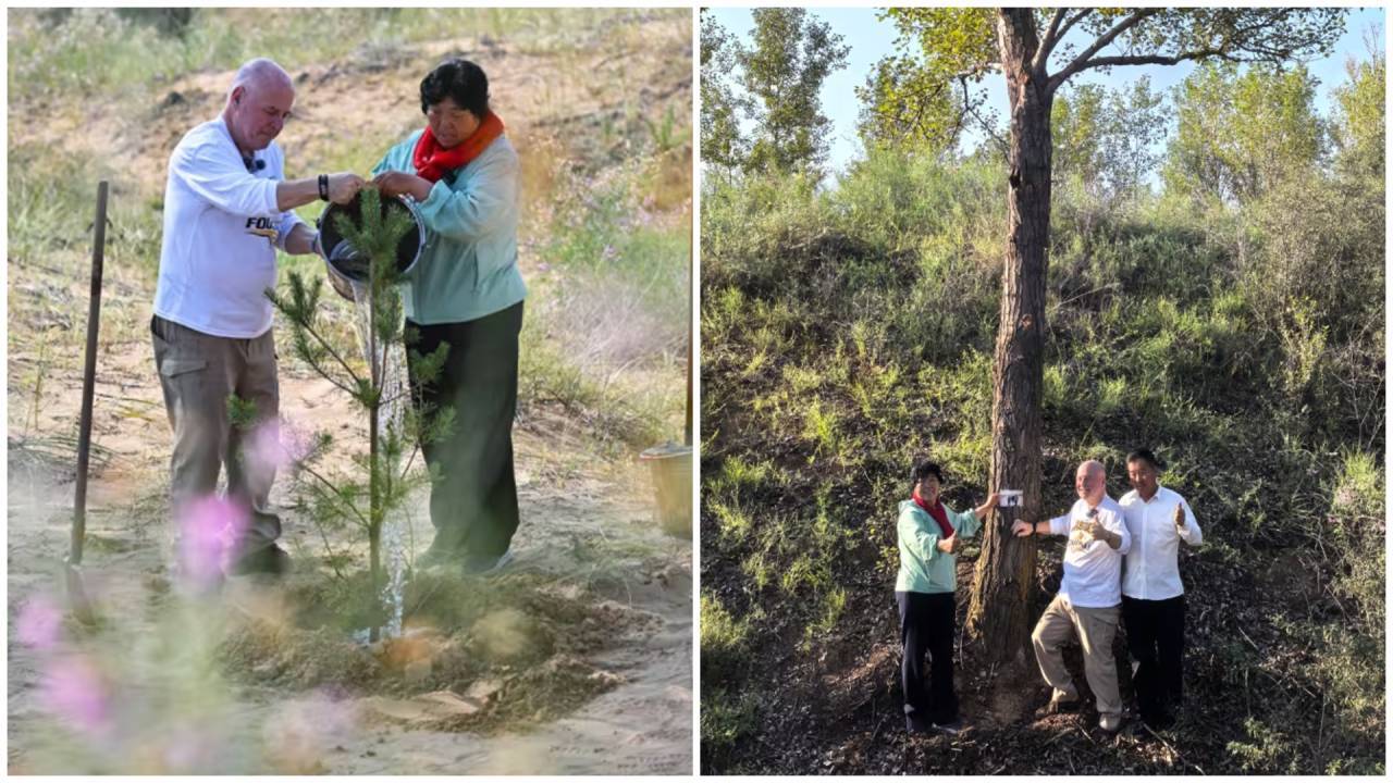 अमेरिकी शिक्षक के 5000 डॉलर दान से चीन में 50,000 पेड़ों का जंगल