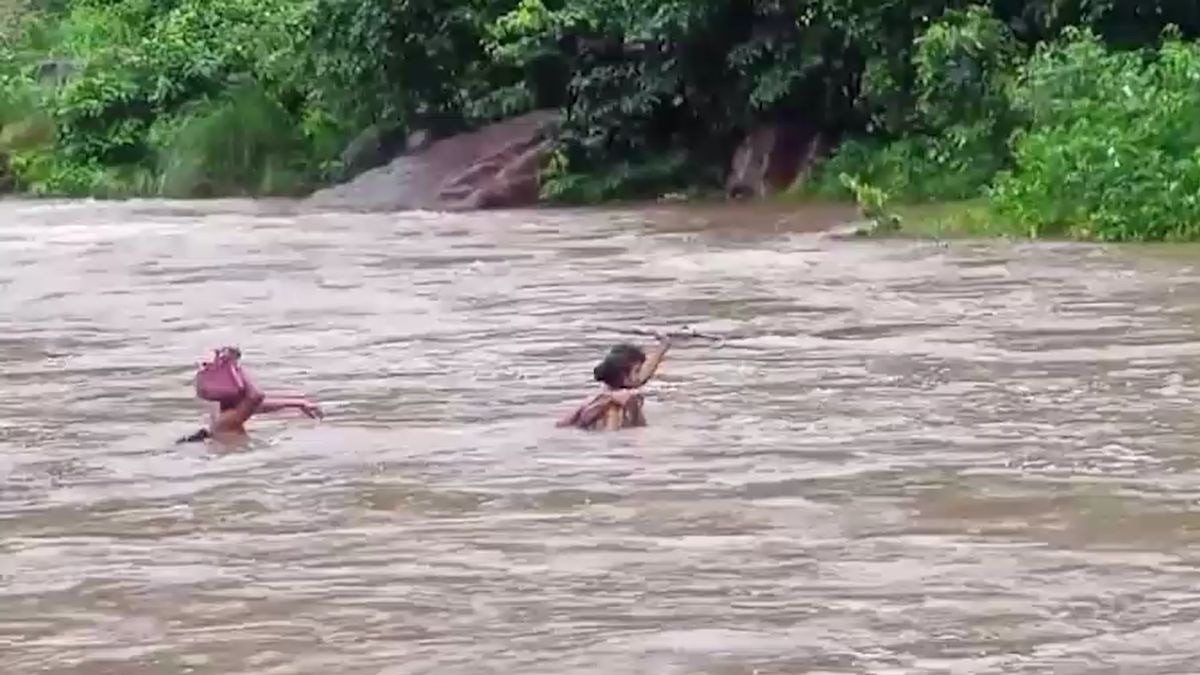 Flooded streams force tribal villagers into perilous crossings in Andhra Pradesh