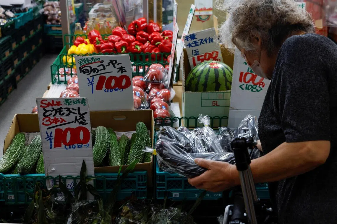 Japanese households slash spending amid persistent inflation pressures
