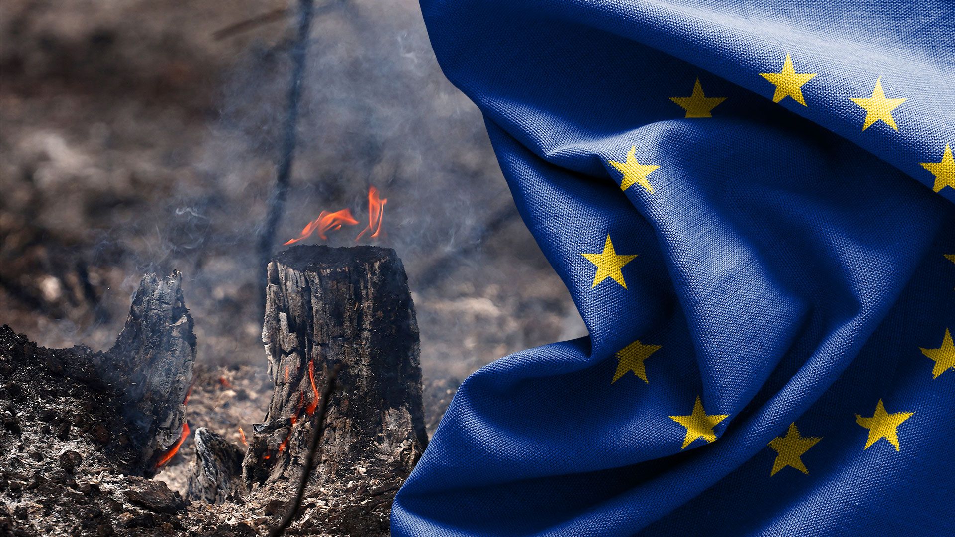 Europe faces dual economic threat from heat and energy costs