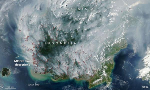 Indonesia Tingkatkan Operasi Pemadaman Kebakaran di Kalimantan