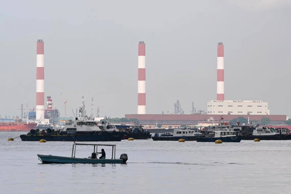 Island reclamation project opens door to clean energy infrastructure