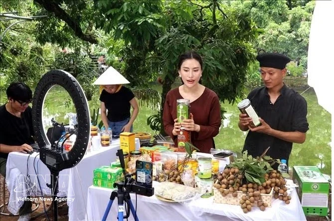Vietnam tightens livestream commerce rules to combat counterfeit goods
