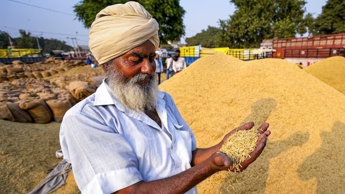 India's ethanol push: taxpayer rice sold to distilleries at steep discount