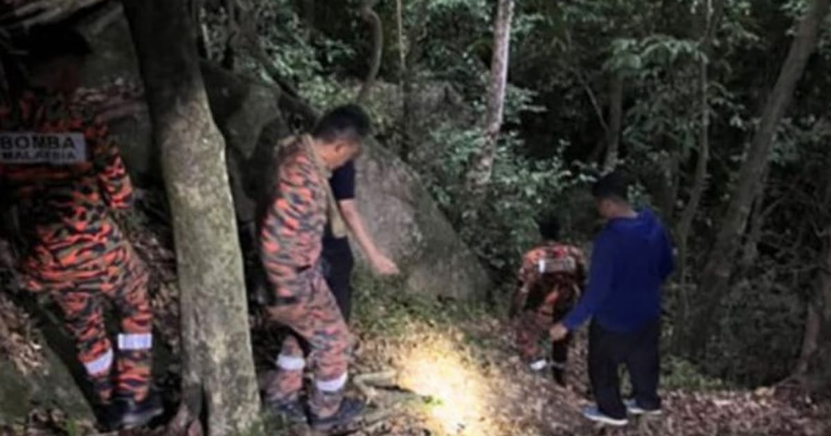 Two hikers rescued after getting lost in Penang forest
