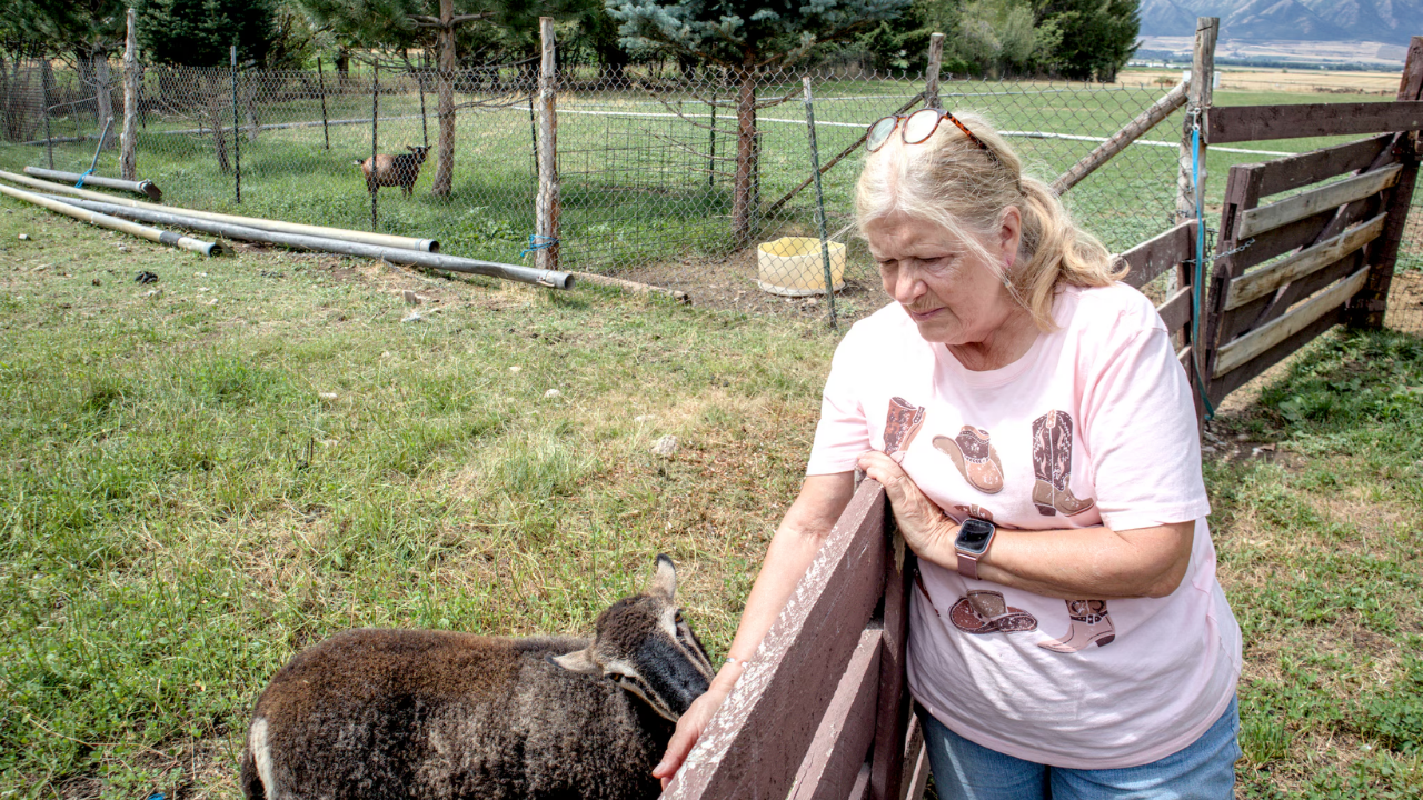 Utah Farmers Secure Legacy Through Conservation Easement Deal
