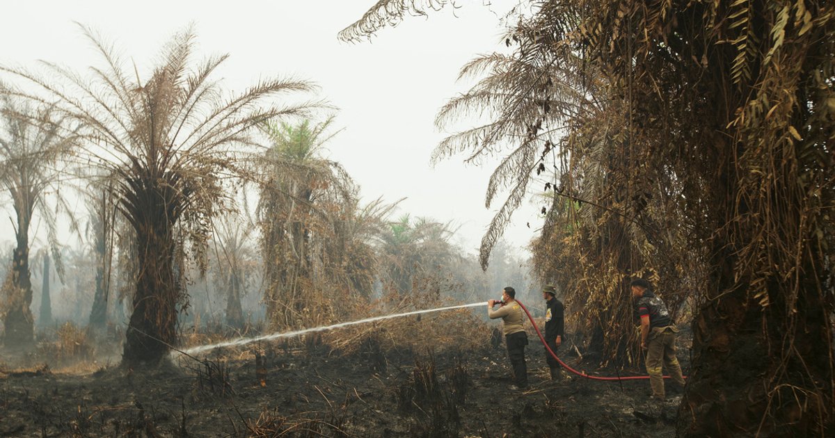 Singapore welcomes Prabowo's commitment to tackling regional haze crisis
