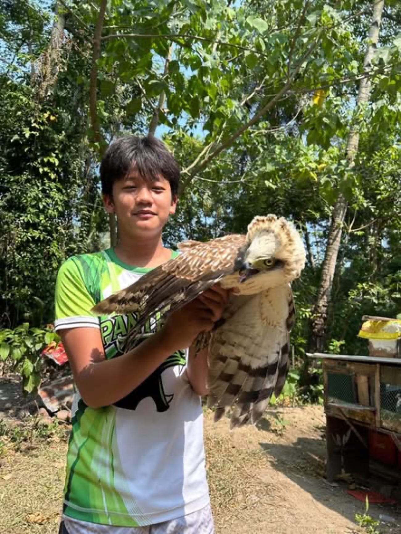 Teenager rescues endangered Philippine eagle in Sarangani