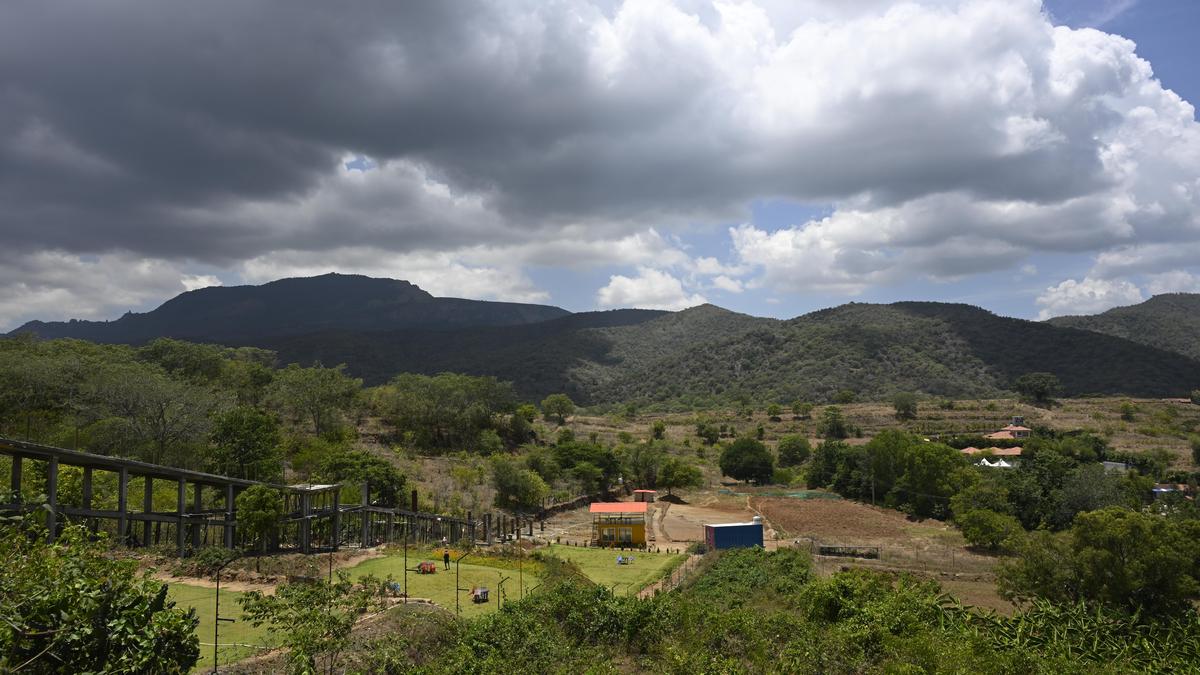Ministry of Tribal Affairs distances itself from forest clearance consent rules