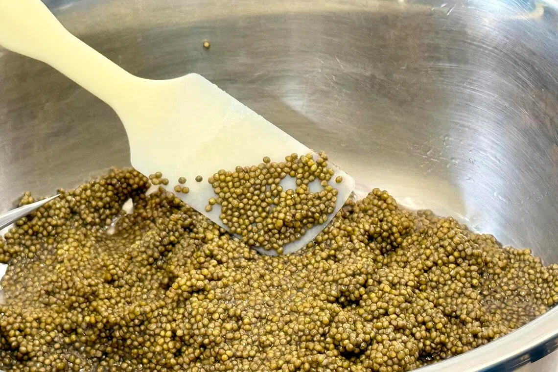 Malaysia pivots to luxury food production with caviar, wagyu beef