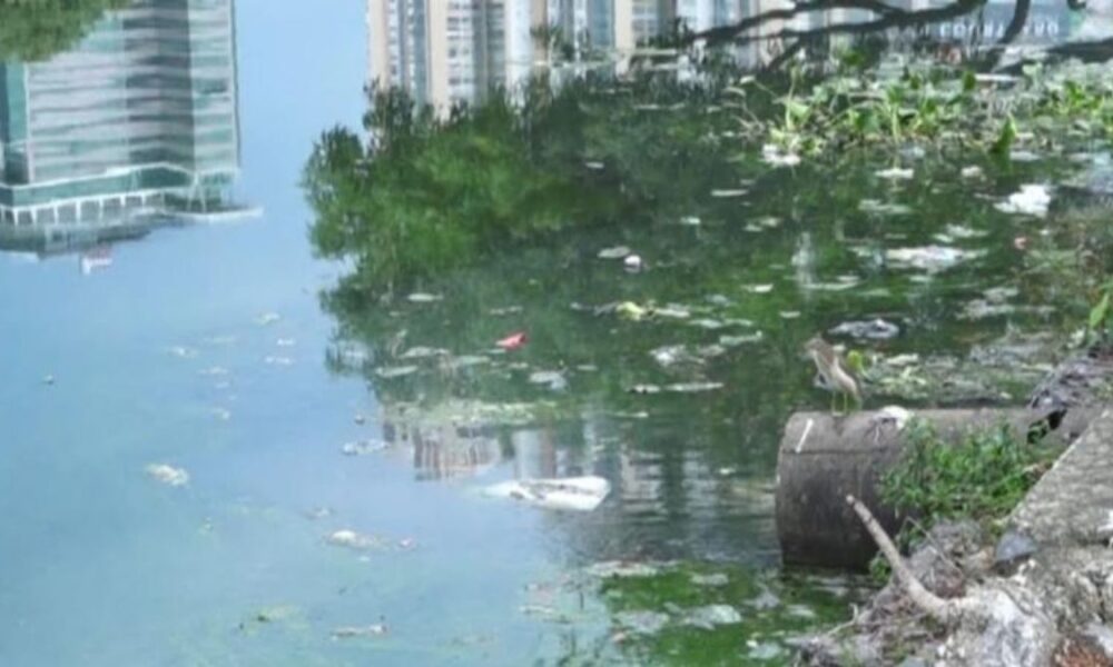 Over 20 sewage outlets found polluting Colombo's Beira Lake