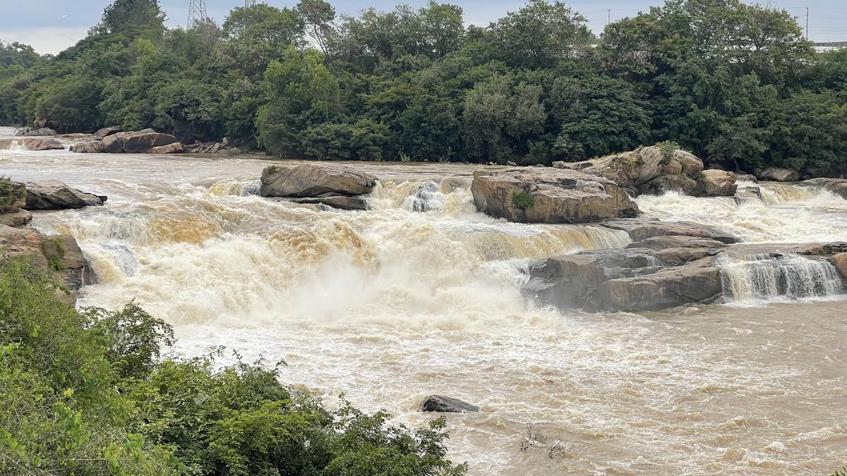 Karnataka agrees to comply with Cauvery water release directive