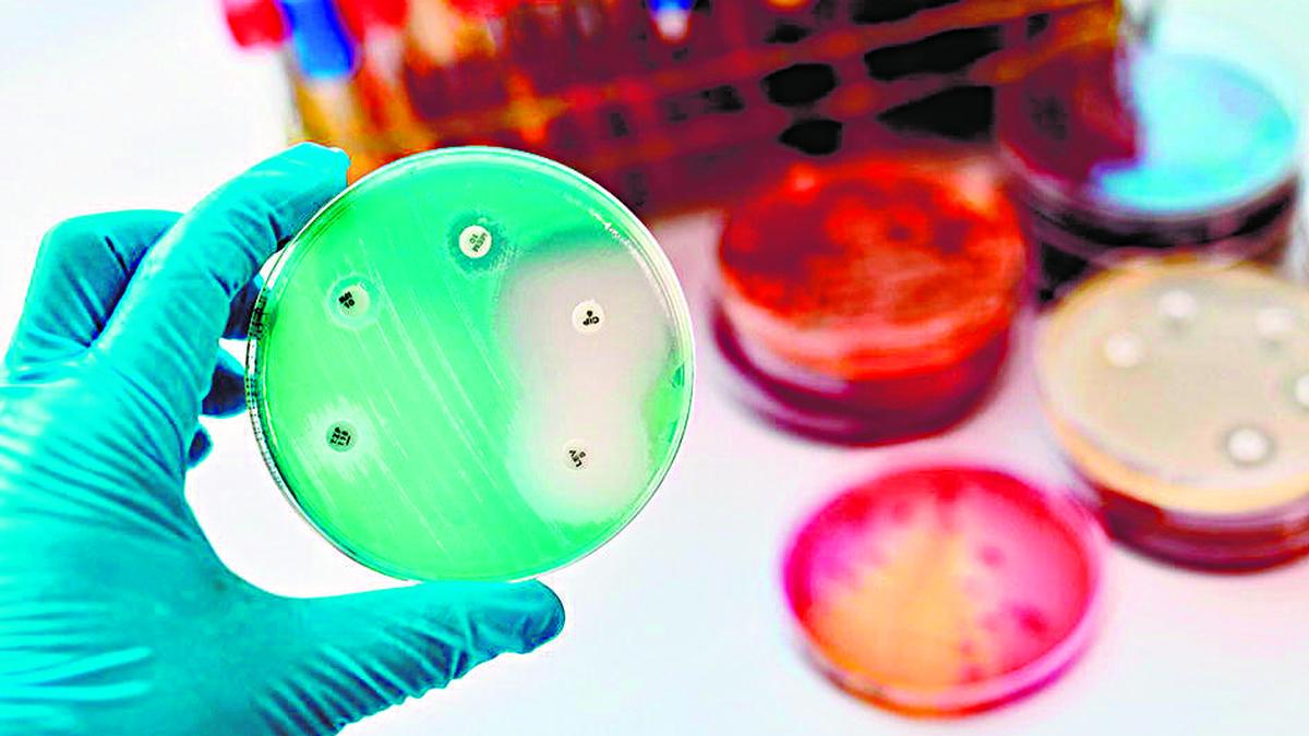 Kerala grapples with rising antibiotic resistance in shigellosis cases