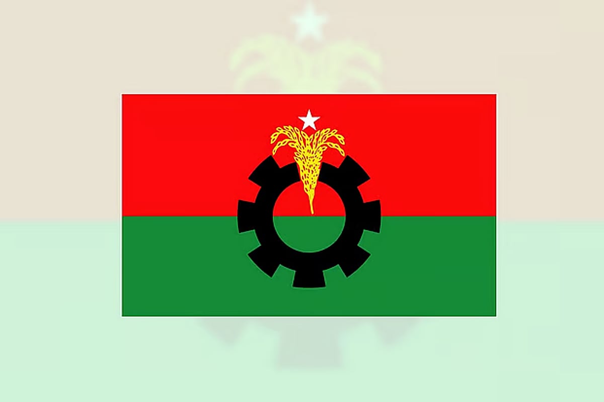 BNP faces internal strain as union contests feature multiple nominees