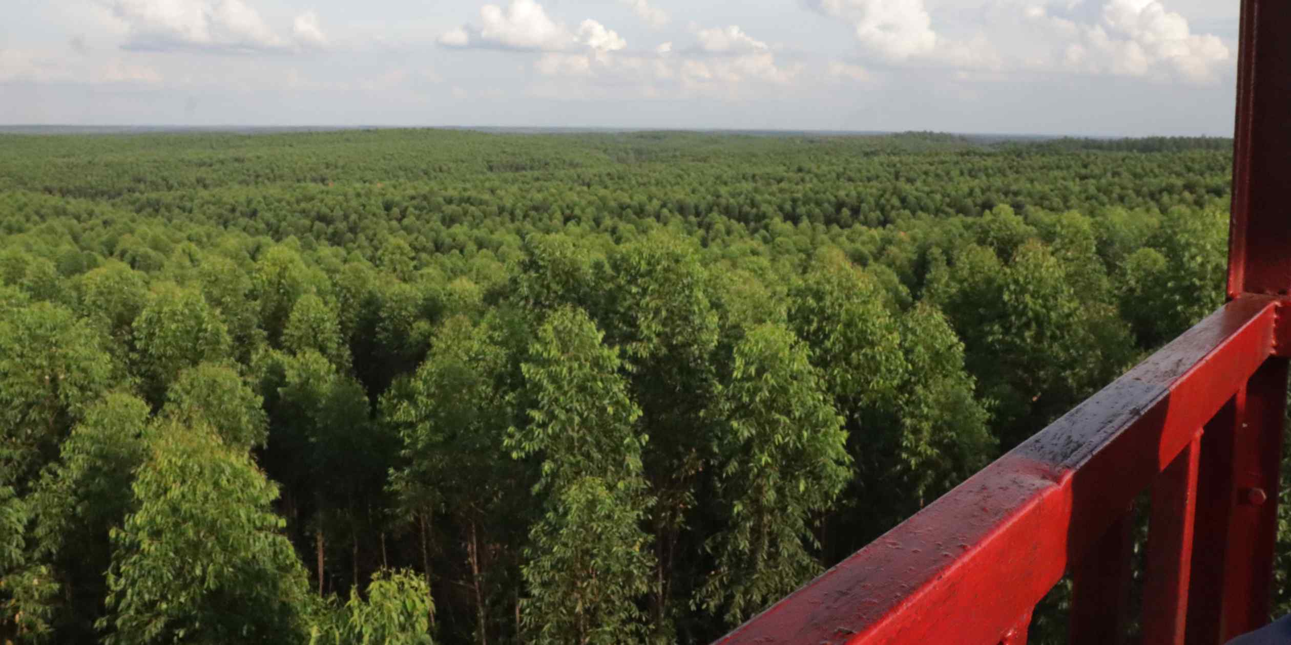 Japanese firms deploy resources to tackle Indonesian forest fires