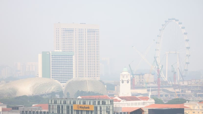 Singapore forms specialist panel to probe transboundary haze sources