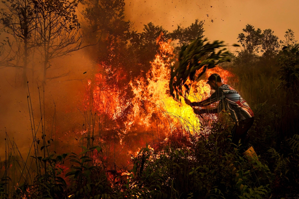 Malaysia tetap buka pintu bantu Indonesia tangani kebakaran hutan