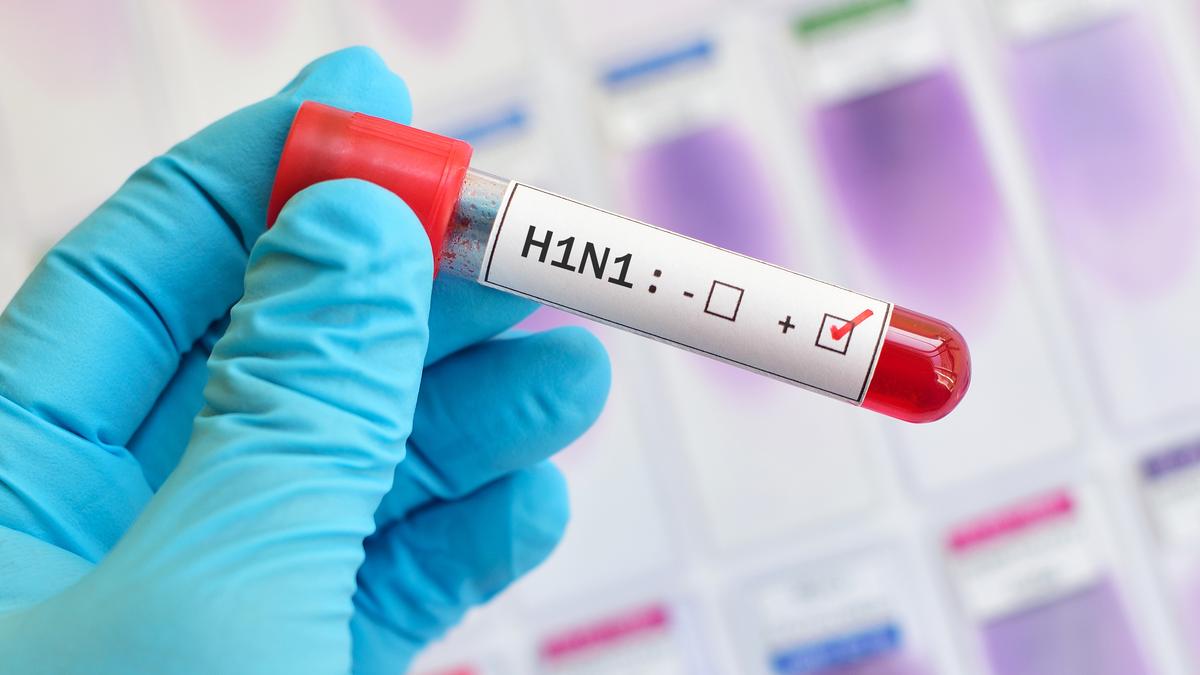 Jharkhand Health Department Issues Alert Following Swine Flu Cases
