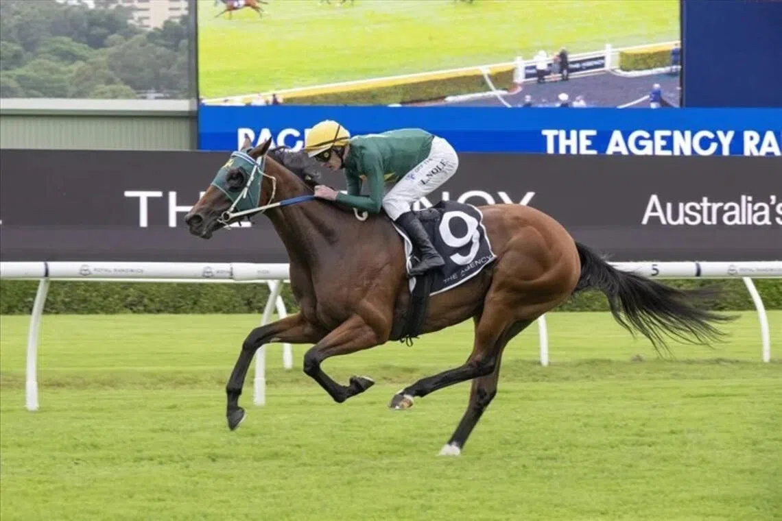 Australian Racing Considers Roster of New Stallions for Breeding Program