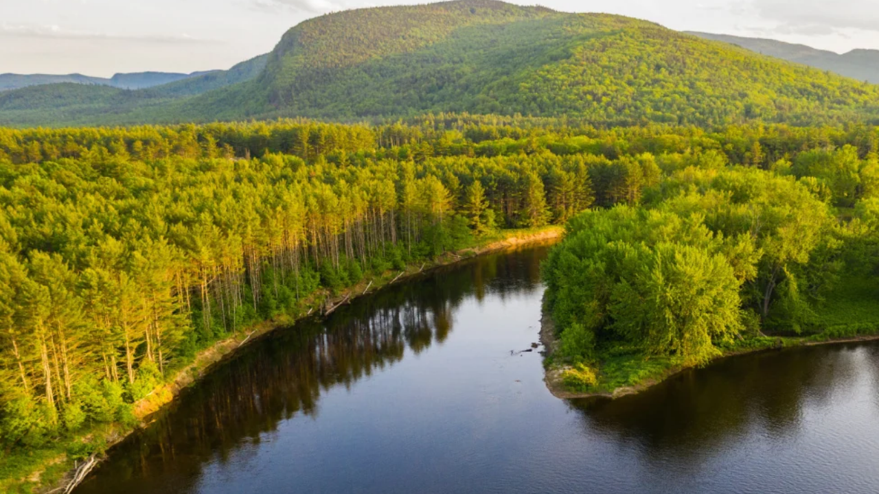 Conservation Coalition Protects 27,000 Acres of Maine Forest