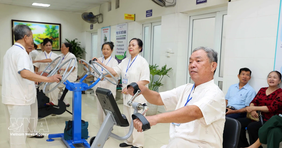 Vietnam confronts rapid aging with focus on silver economy development