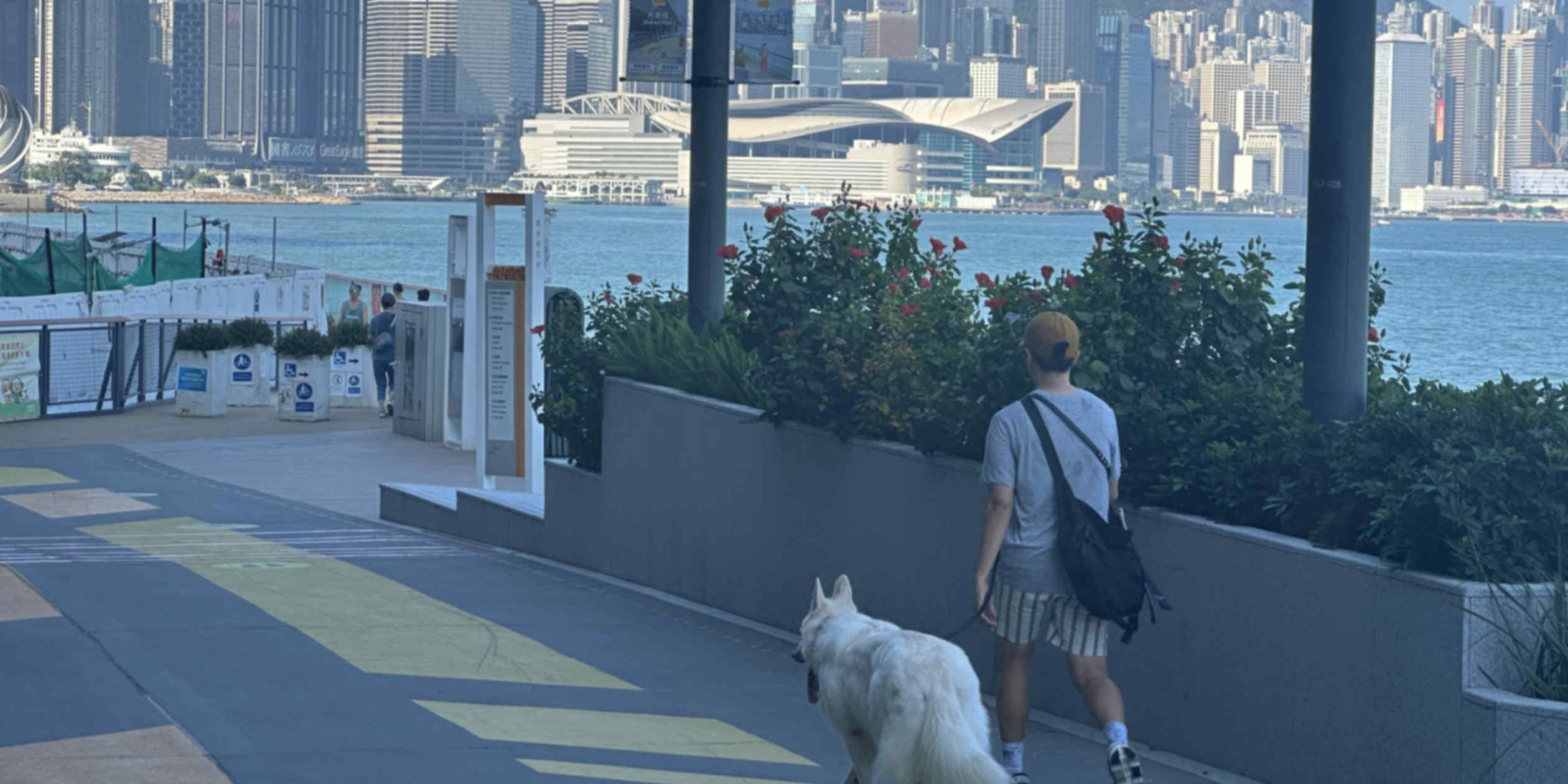 Fatal dog attacks strain Hong Kong's push toward pet-friendly society