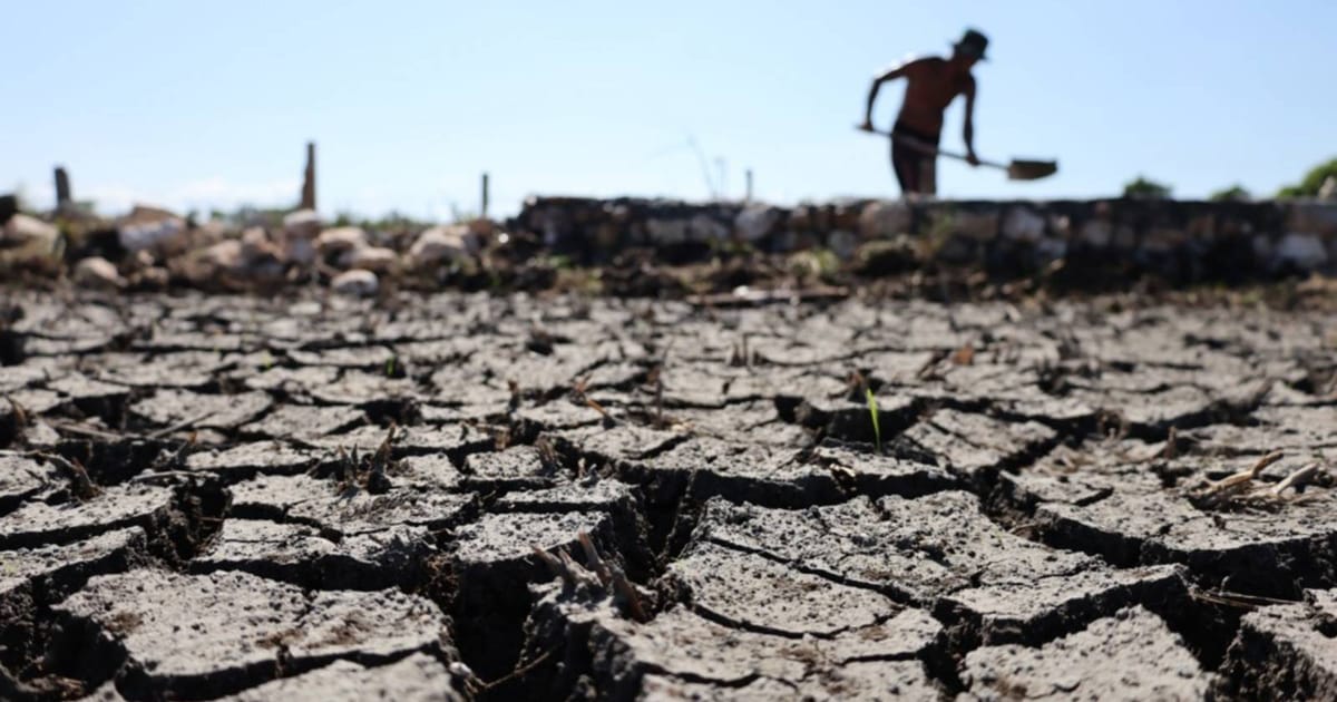 El Salvador battles severe drought as El Niño disrupts rainy season