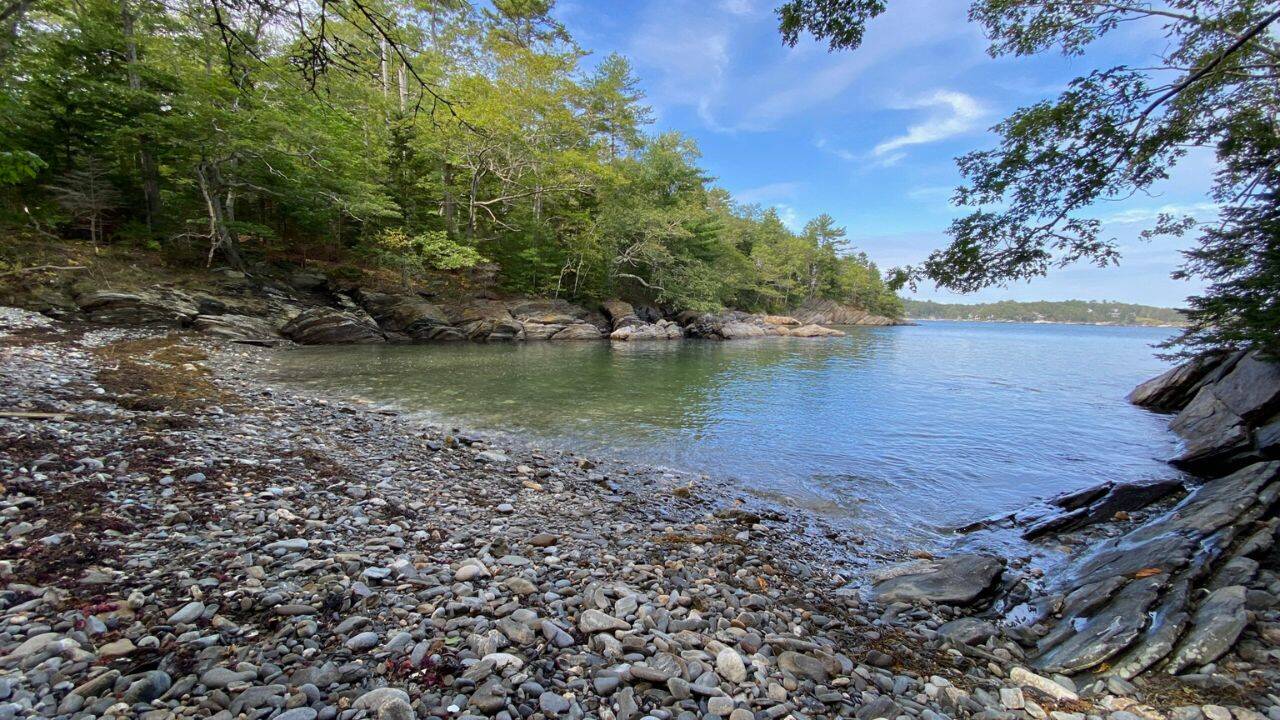 From Isolation to Conservation: How One Woman's Island Became a Sanctuary