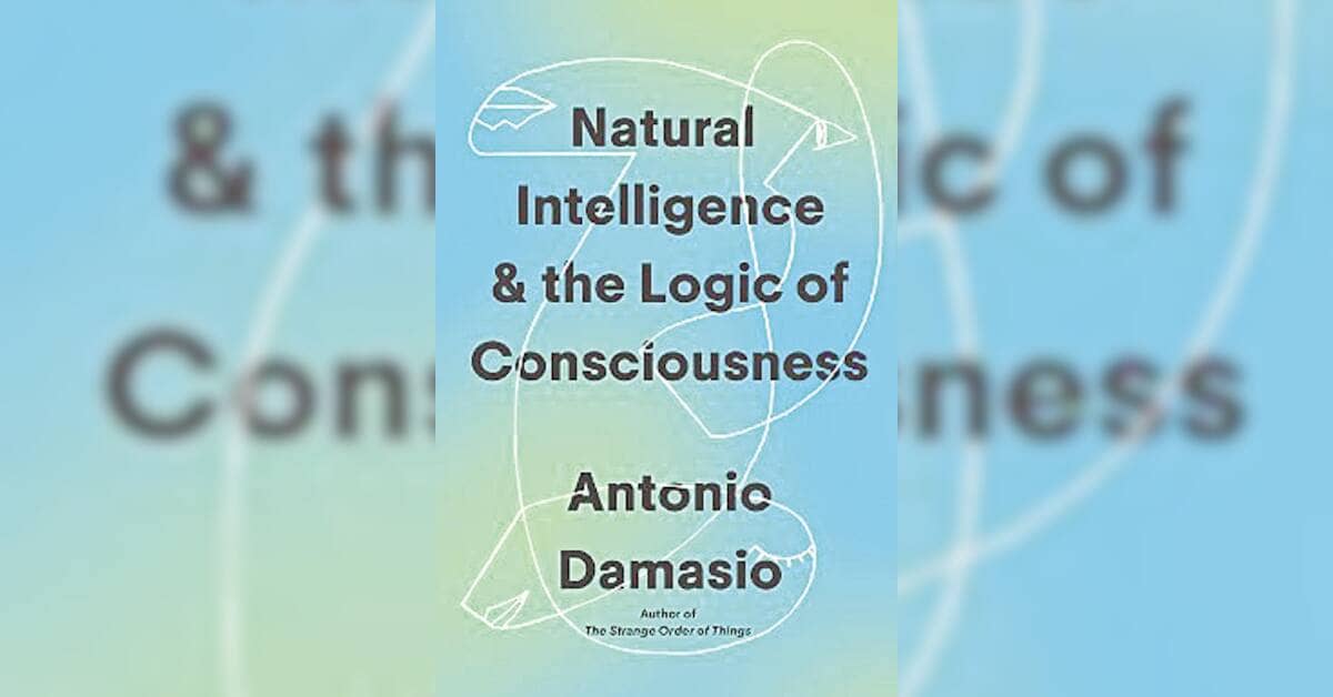 Neuroscientist Argues Consciousness Rooted in Body's Physical Signals