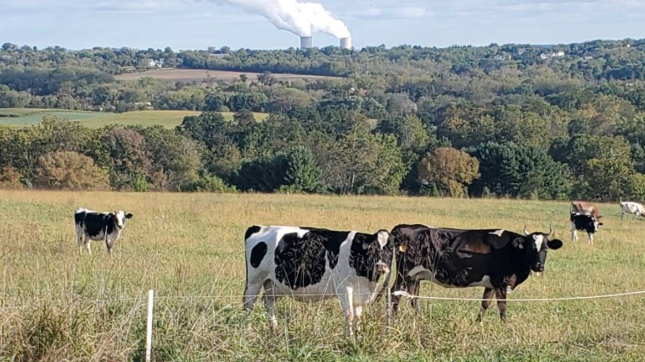 Pennsylvania couple's land conservation blocks 88 homes, 21 condos