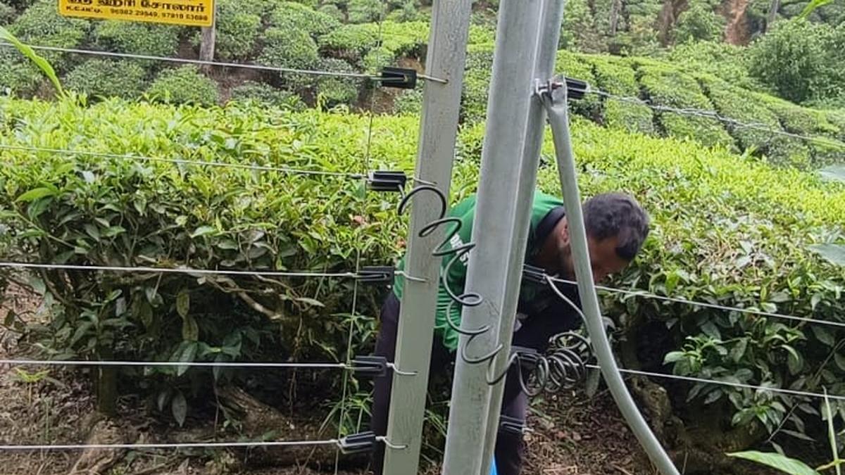 Idukki Collector orders removal of illegal structures blocking wildlife corridors