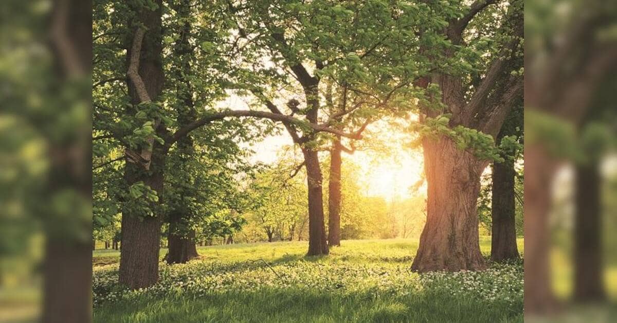 प्राकृतिक संपदा का हिसाब-किताब नीति निर्धारण को मजबूत करेगा
