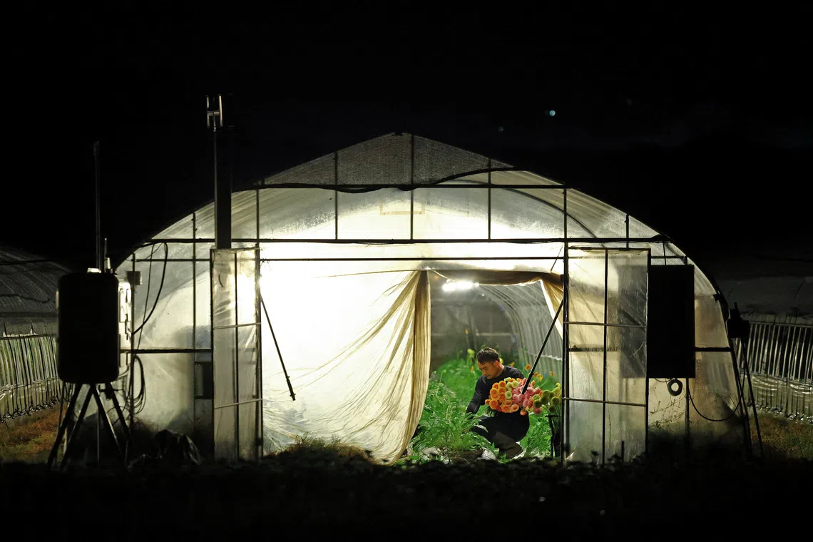 Japanese farmers shift to night work as heat becomes life-threatening