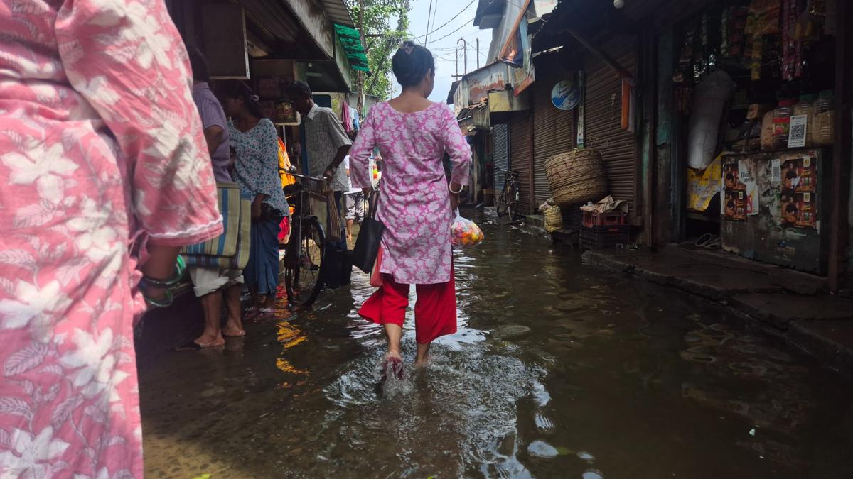 West Bengal industrial zone crippled by chronic waterlogging crisis