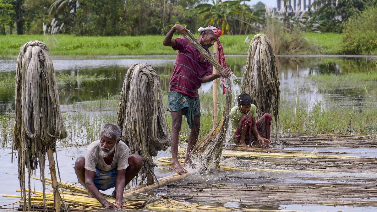 Assam cultivators' body flags move to seize traditional grazing lands