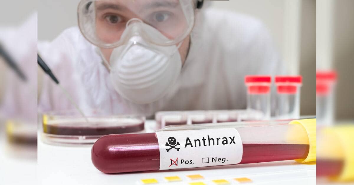 India's antibiotic sales slip, but misuse worries persist among experts