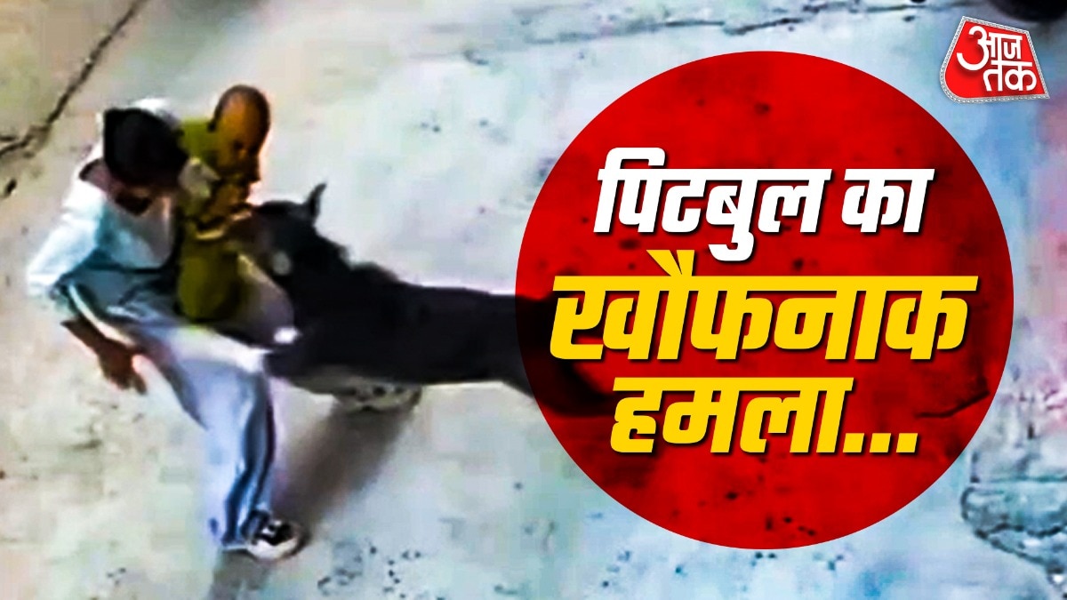 सोनीपत में पिटबुल के हमले से छह महीने का बच्चा गंभीर रूप से घायल