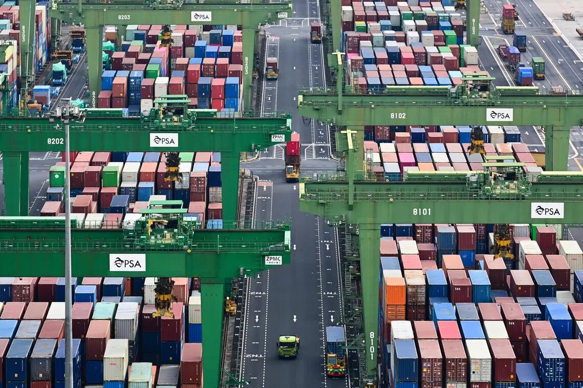 Singapore must weigh risks of any US tariff relief measures: Gan