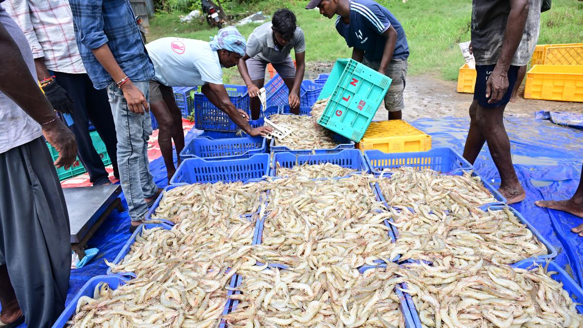 Fish Workers Federation to Protest Over Land Rights, Reservation Issues