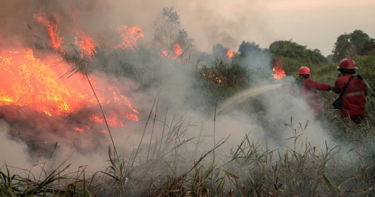Indonesia escalates firefighting operations across Kalimantan
