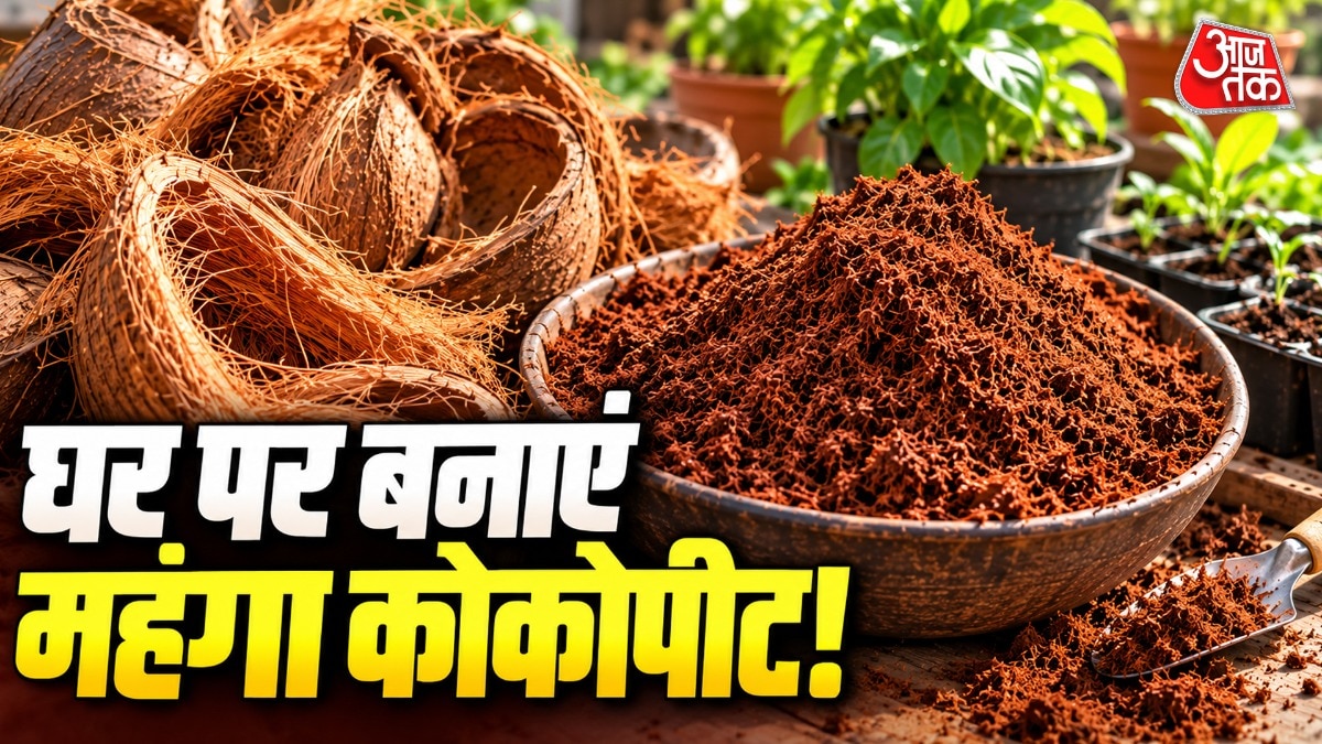 DIY Cocopeat: Turn Coconut Husks Into Garden Gold at Home